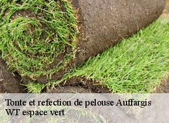 Tonte et refection de pelouse auffargis-78610 WT espace vert