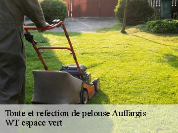 Tonte et refection de pelouse auffargis-78610 WT espace vert