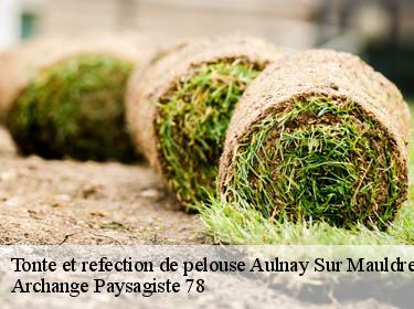 Tonte et refection de pelouse  aulnay-sur-mauldre-78126 Archange Paysagiste 78