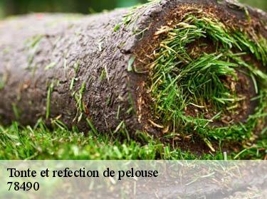 Tonte et refection de pelouse  bazoches-sur-guyonne-78490 Archange Paysagiste 78