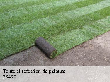 Tonte et refection de pelouse  bazoches-sur-guyonne-78490 Archange Paysagiste 78