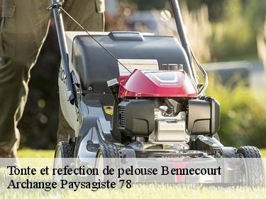 Tonte et refection de pelouse  bennecourt-78270 Archange Paysagiste 78