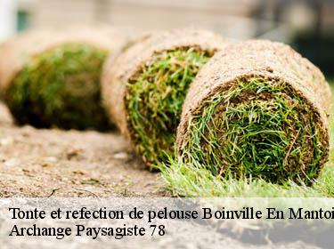 Tonte et refection de pelouse  boinville-en-mantois-78930 Archange Paysagiste 78
