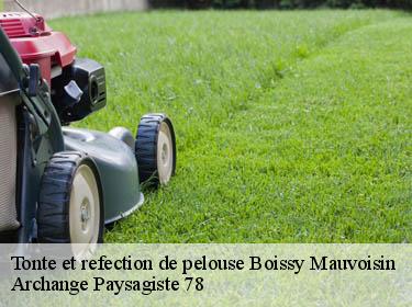 Tonte et refection de pelouse  boissy-mauvoisin-78200 Archange Paysagiste 78