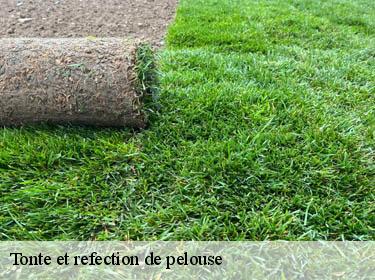 Tonte et refection de pelouse  bourdonne-78113 Archange Paysagiste 78
