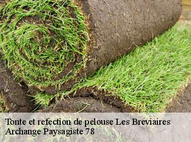 Tonte et refection de pelouse  les-breviaires-78610 Archange Elagage