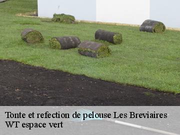 Tonte et refection de pelouse les-breviaires-78610 WT espace vert