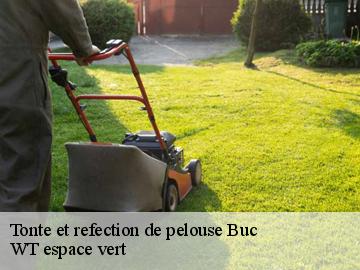 Tonte et refection de pelouse buc-78530 WT espace vert