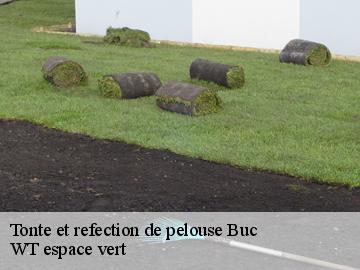 Tonte et refection de pelouse buc-78530 WT espace vert