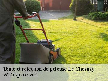 Tonte et refection de pelouse le-chesnay-78150 WT espace vert