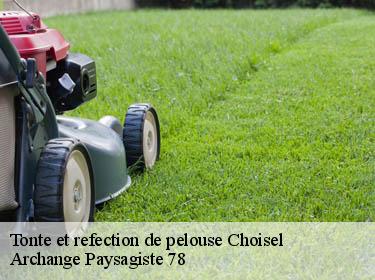 Tonte et refection de pelouse  choisel-78460 Archange Paysagiste 78
