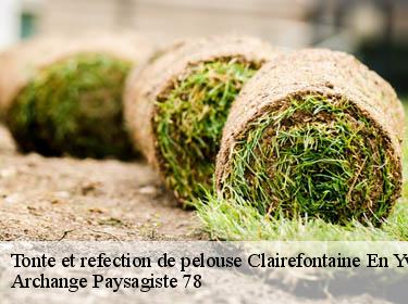 Tonte et refection de pelouse  clairefontaine-en-yvelines-78120 Archange Paysagiste 78