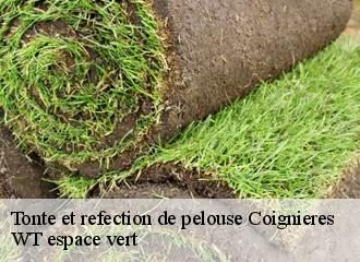 Tonte et refection de pelouse coignieres-78310 WT espace vert
