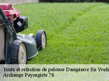 Tonte et refection de pelouse  dampierre-en-yvelines-78720 Archange Paysagiste 78