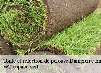 Tonte et refection de pelouse dampierre-en-yvelines-78720 WT espace vert