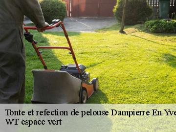 Tonte et refection de pelouse dampierre-en-yvelines-78720 WT espace vert