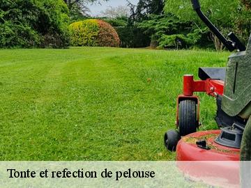 Tonte et refection de pelouse  drocourt-78440 Archange Paysagiste 78