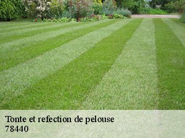 Tonte et refection de pelouse  drocourt-78440 Archange Paysagiste 78