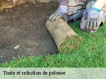 Tonte et refection de pelouse  drocourt-78440 Archange Paysagiste 78