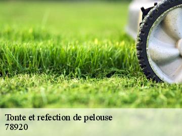 Tonte et refection de pelouse  78920