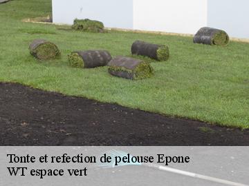 Tonte et refection de pelouse epone-78680 WT espace vert