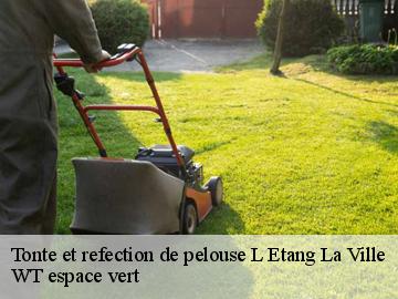 Tonte et refection de pelouse l-etang-la-ville-78620 WT espace vert