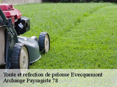 Tonte et refection de pelouse  evecquemont-78740 Archange Paysagiste 78