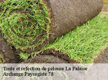 Tonte et refection de pelouse  la-falaise-78410 Archange Paysagiste 78