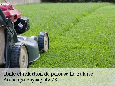 Tonte et refection de pelouse  la-falaise-78410 Archange Paysagiste 78