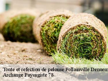 Tonte et refection de pelouse  follainville-dennemont-78520 Archange Paysagiste 78