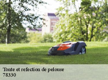 Tonte et refection de pelouse  fontenay-le-fleury-78330 Archange Paysagiste 78