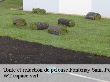 Tonte et refection de pelouse fontenay-saint-pere-78440 WT espace vert