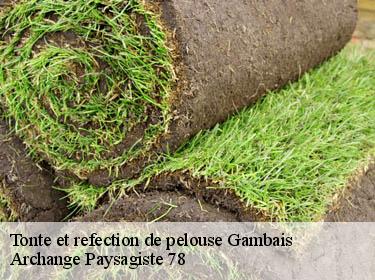Tonte et refection de pelouse  gambais-78950 Archange Paysagiste 78