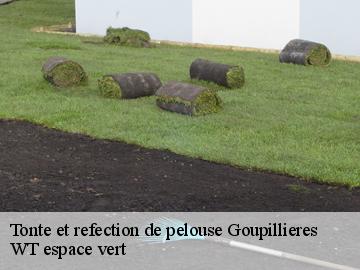 Tonte et refection de pelouse goupillieres-78770 WT espace vert