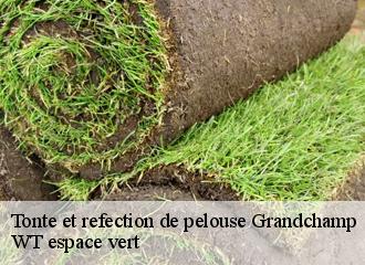 Tonte et refection de pelouse grandchamp-78113 WT espace vert