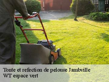 Tonte et refection de pelouse jambville-78440 WT espace vert
