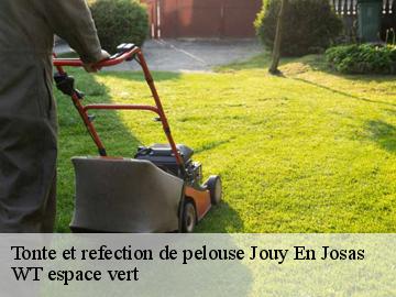Tonte et refection de pelouse jouy-en-josas-78350 WT espace vert