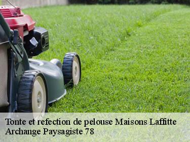 Tonte et refection de pelouse  maisons-laffitte-78600 Archange Paysagiste 78