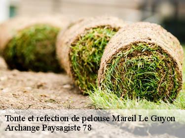 Tonte et refection de pelouse  mareil-le-guyon-78490 Archange Paysagiste 78