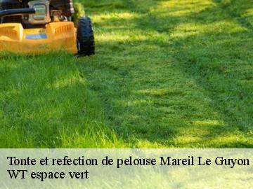 Tonte et refection de pelouse mareil-le-guyon-78490 WT espace vert