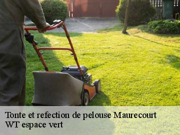 Tonte et refection de pelouse maurecourt-78780 WT espace vert