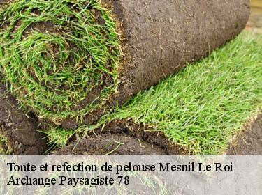 Tonte et refection de pelouse  mesnil-le-roi-78600 Archange Paysagiste 78