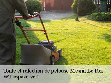 Tonte et refection de pelouse mesnil-le-roi-78600 WT espace vert