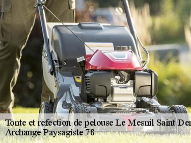 Tonte et refection de pelouse  le-mesnil-saint-denis-78320 Archange Paysagiste 78