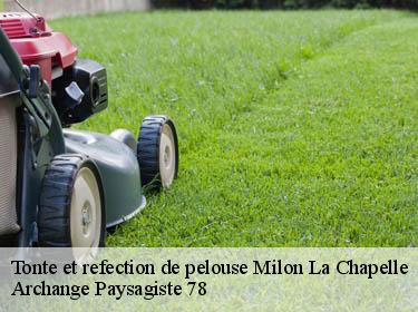 Tonte et refection de pelouse  milon-la-chapelle-78470 Archange Paysagiste 78