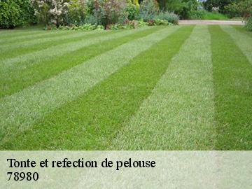Tonte et refection de pelouse mondreville-78980 WT espace vert