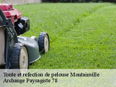 Tonte et refection de pelouse  montainville-78124 Archange Paysagiste 78