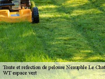 Tonte et refection de pelouse neauphle-le-chateau-78640 WT espace vert