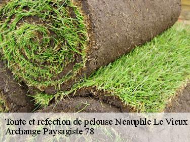 Tonte et refection de pelouse  neauphle-le-vieux-78640 Archange Paysagiste 78