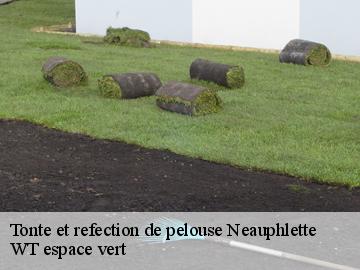 Tonte et refection de pelouse neauphlette-78980 WT espace vert